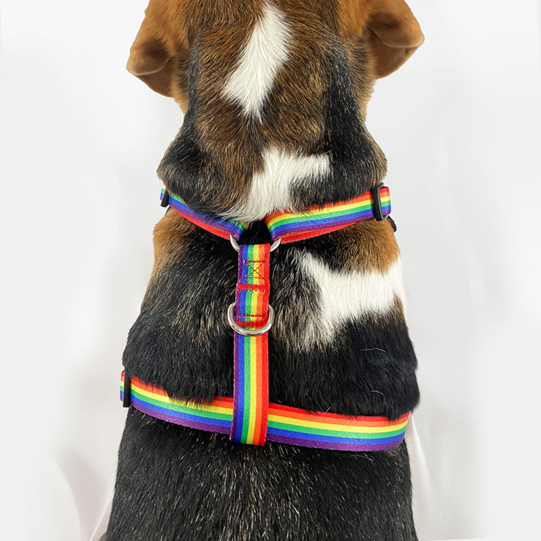 Pride Print Mesh Harness