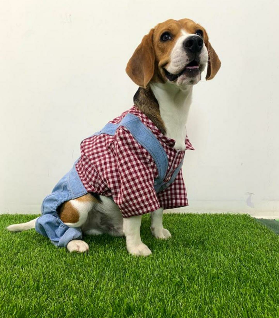 Gingham Check Dungaree