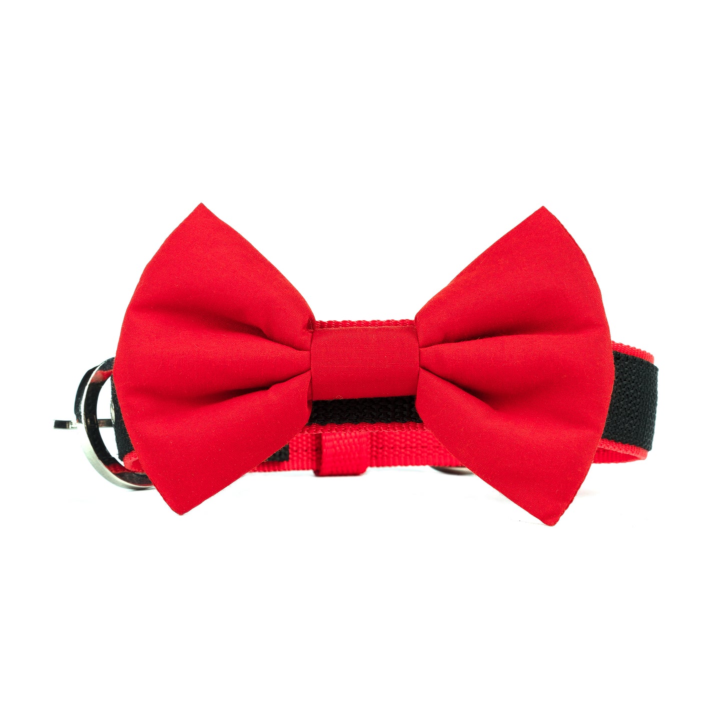 Red Bow Collar