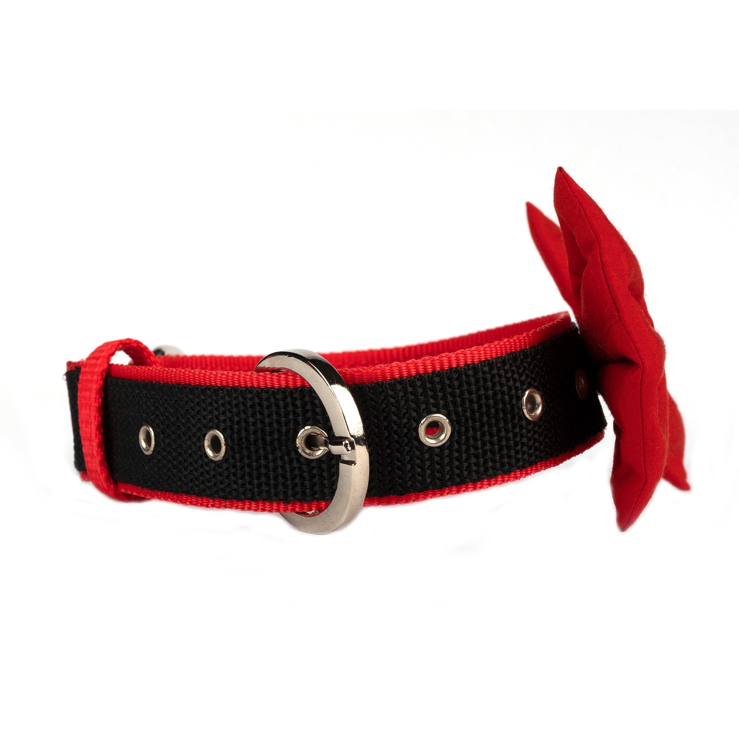 Red Bow Collar