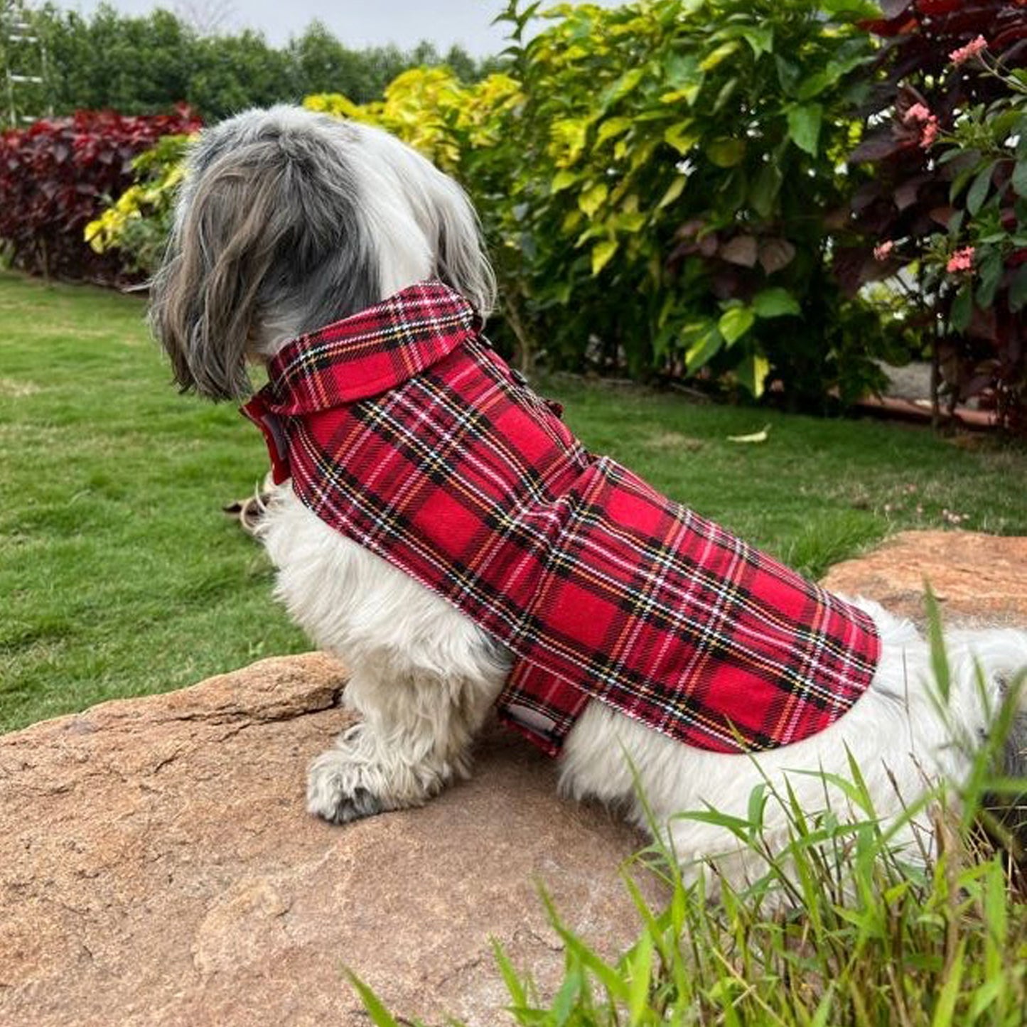 Red Plaid Shirt Wrap