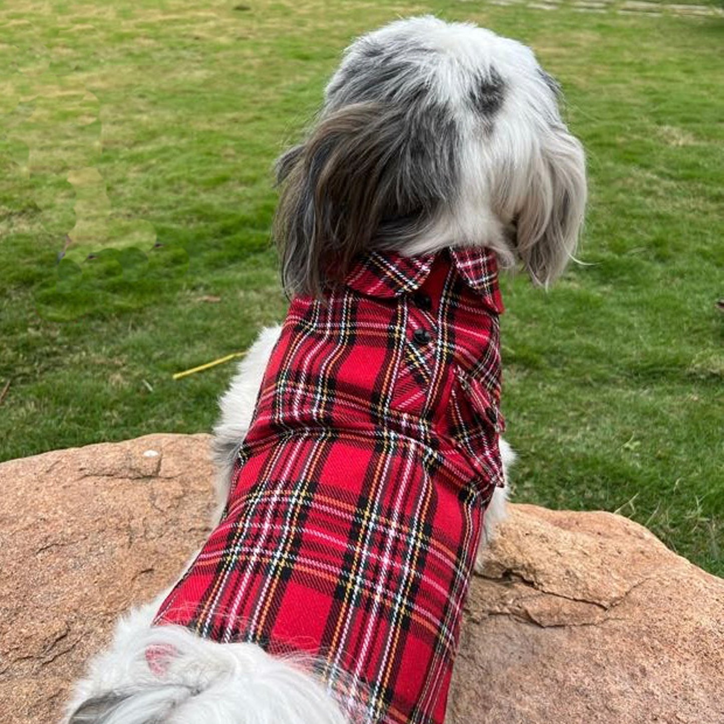 Red Plaid Shirt Wrap
