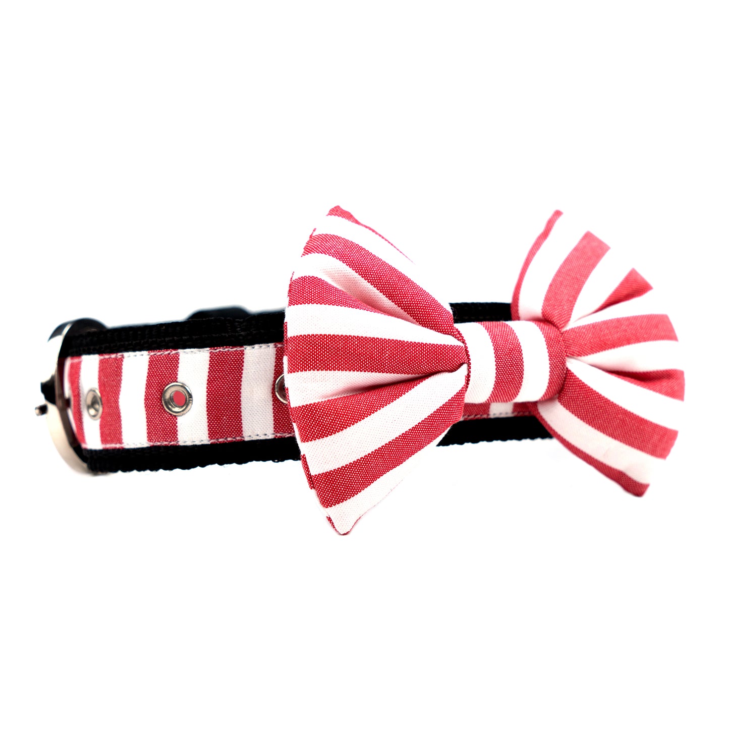 Red Stripe Bow Collar