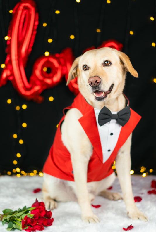 Red Tuxedo