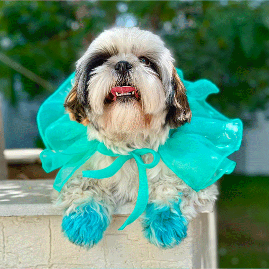 Teal Organza Neck Tutu