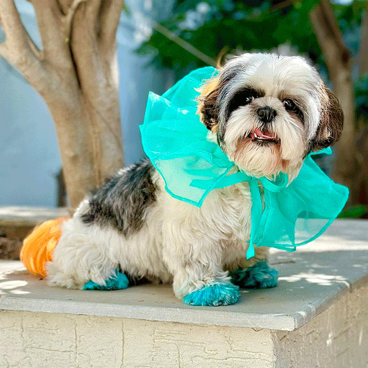 Teal Organza Neck Tutu