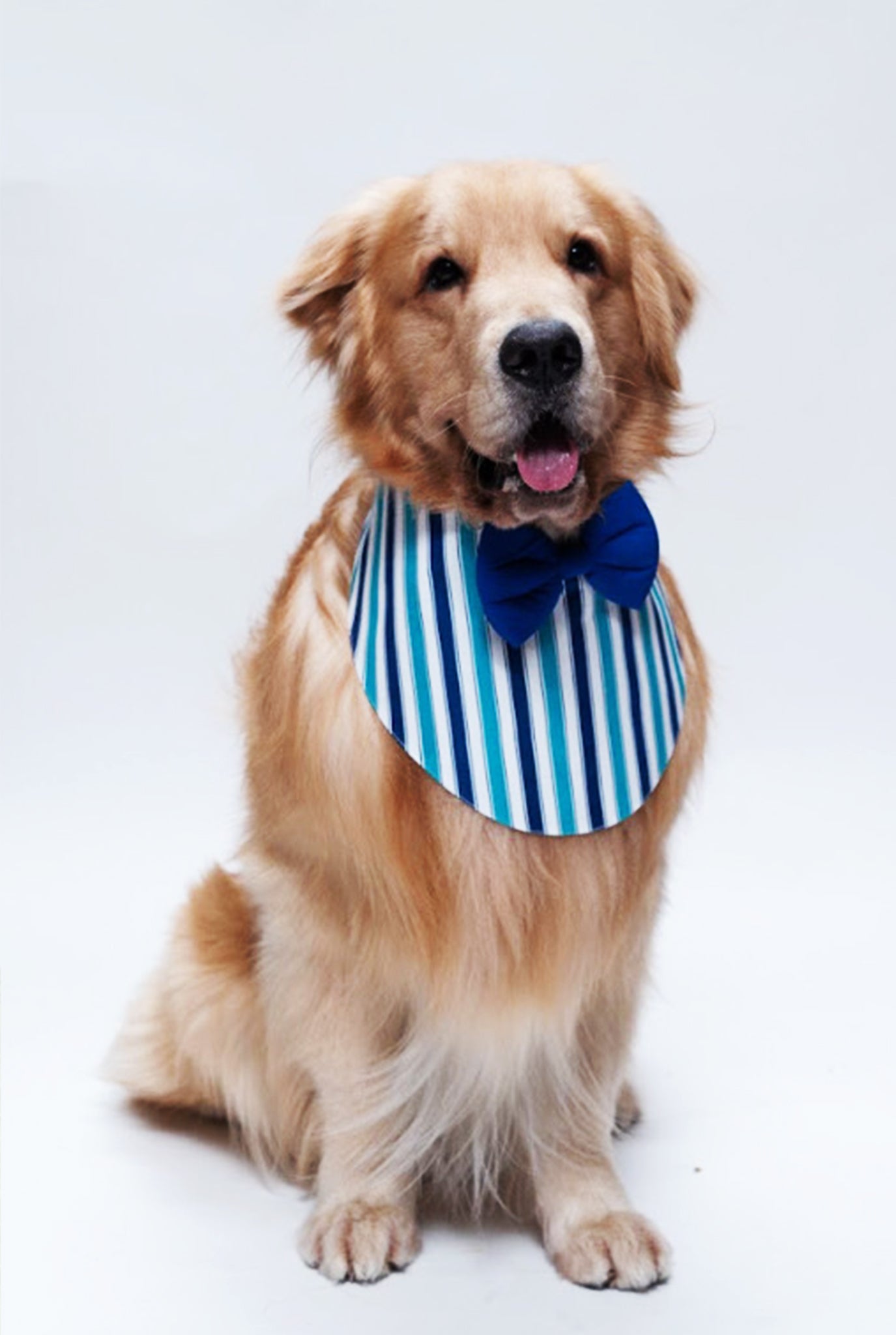Teal Stripe Bandana