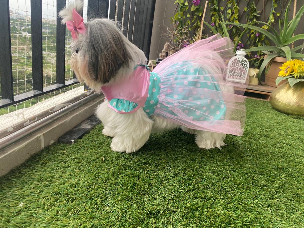 Teal Polka Dot Frock