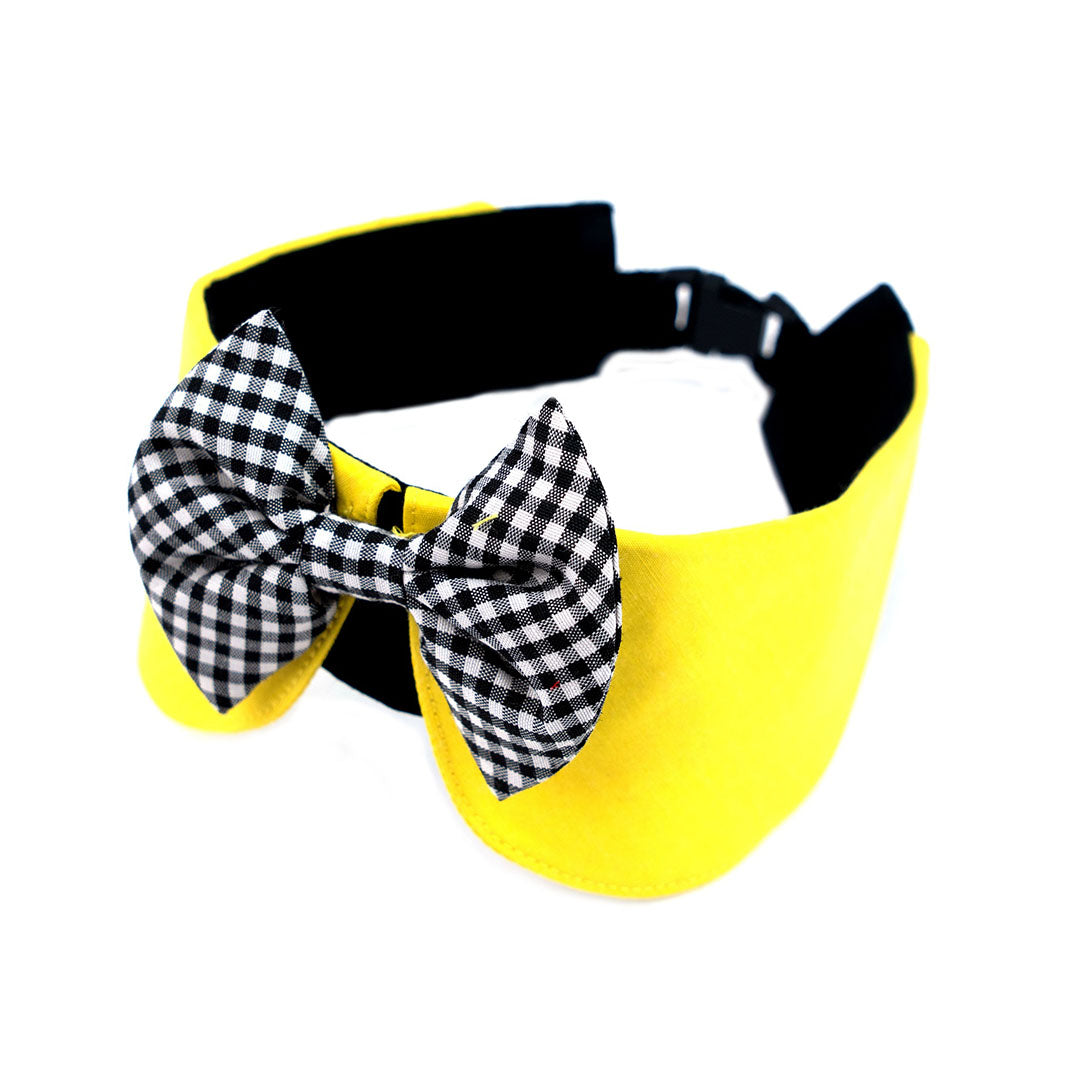Yellow Black Peterpan Collar
