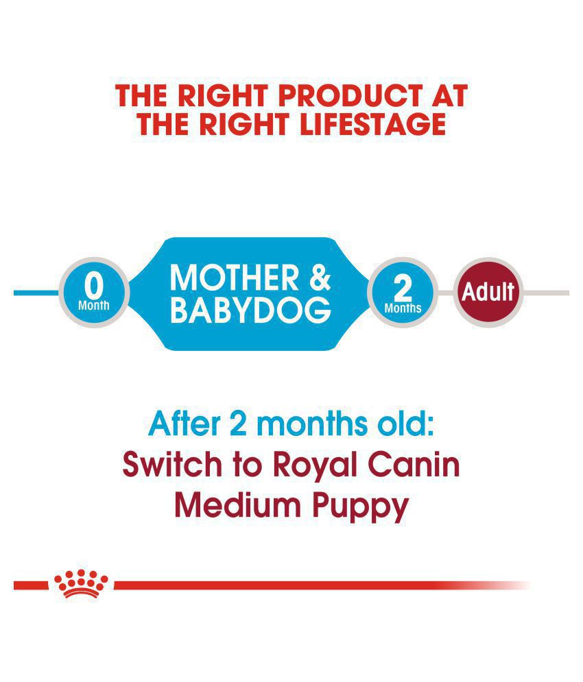 Royal Canin Medium Starter