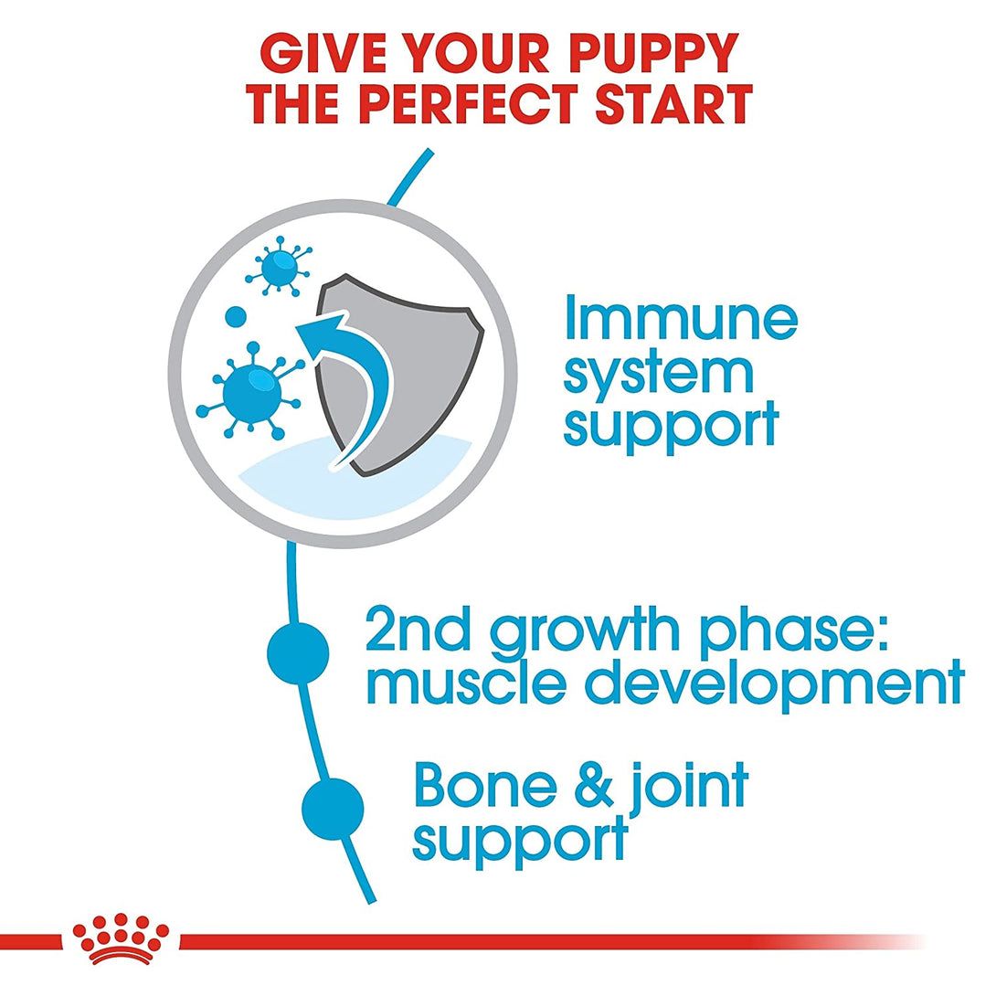 Royal Canin Giant Junior