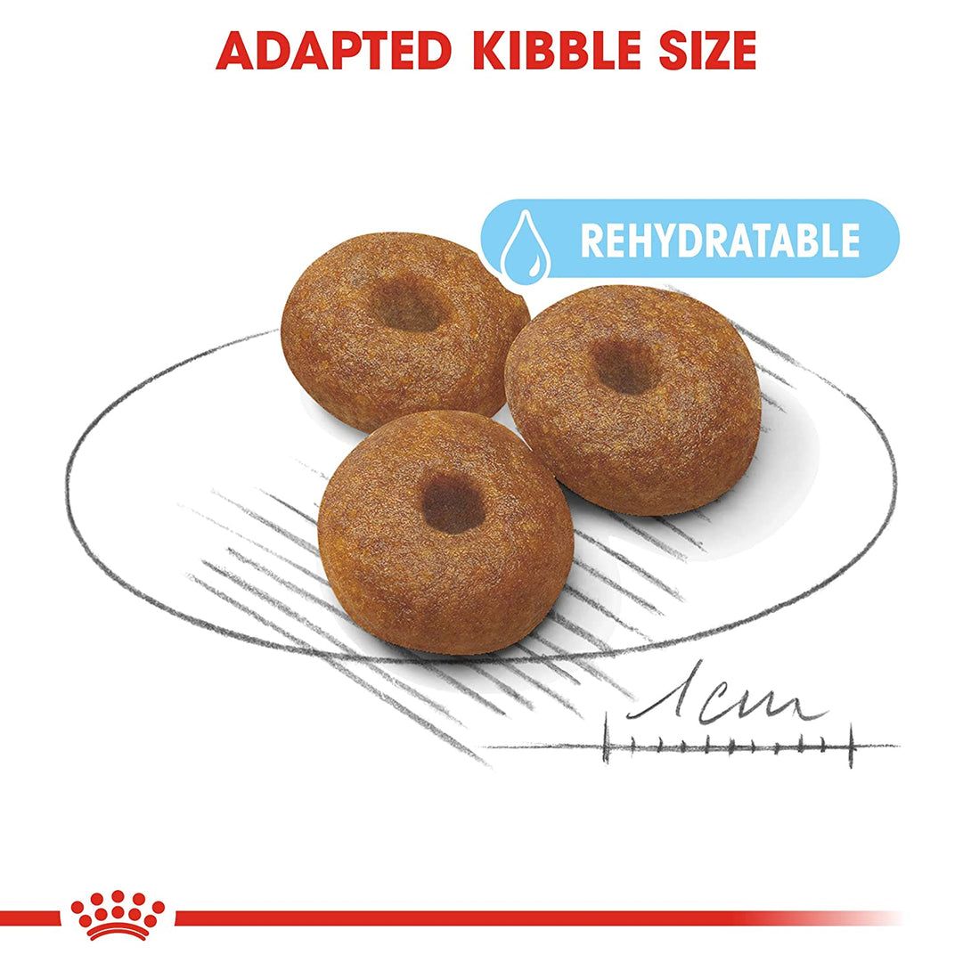 Royal Canin Maxi Starter