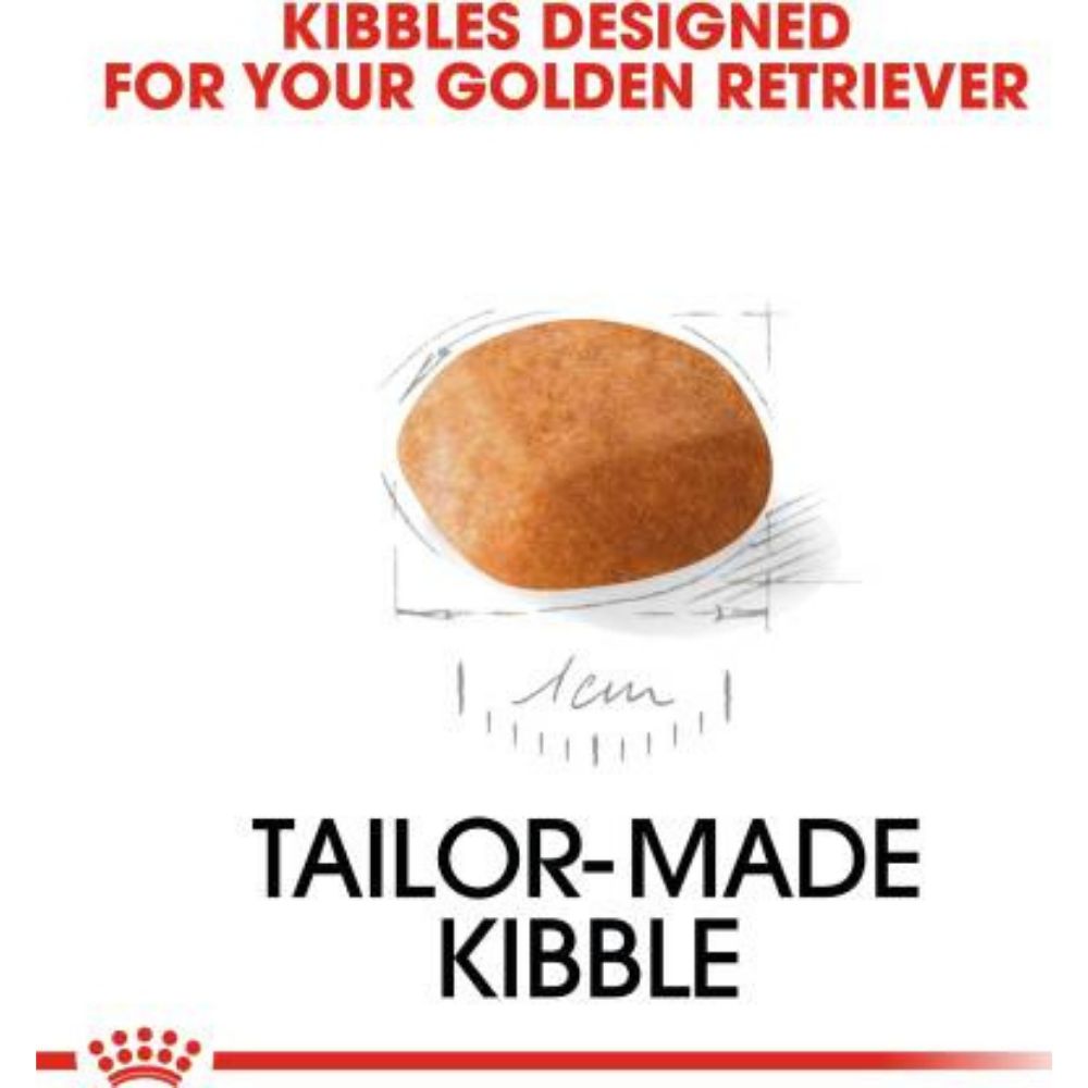 Royal Canin Golden Retriever Puppy