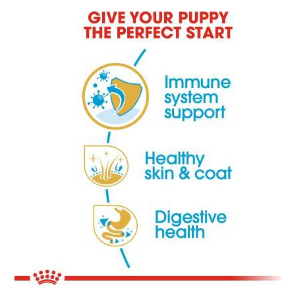 Royal Canin Golden Retriever Puppy