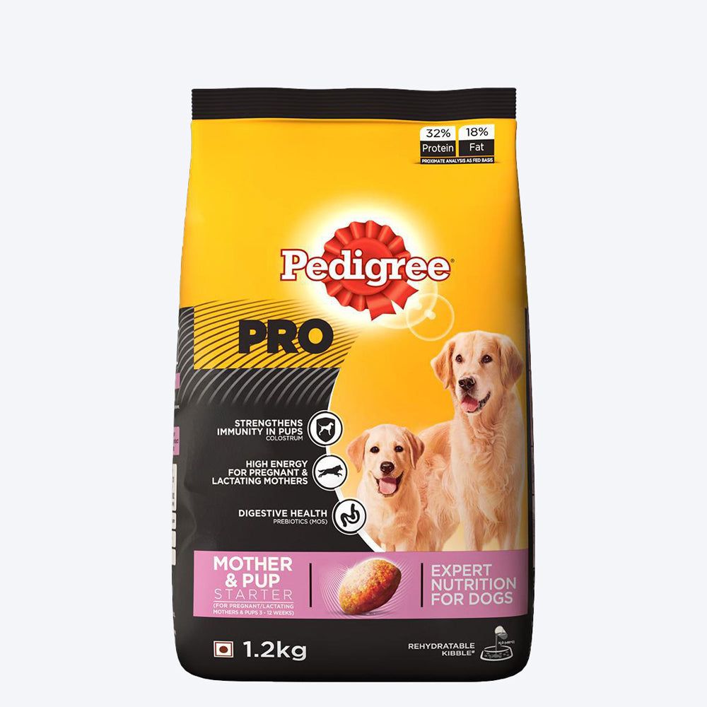 Pedigree Puppy Mother & Baby Dog