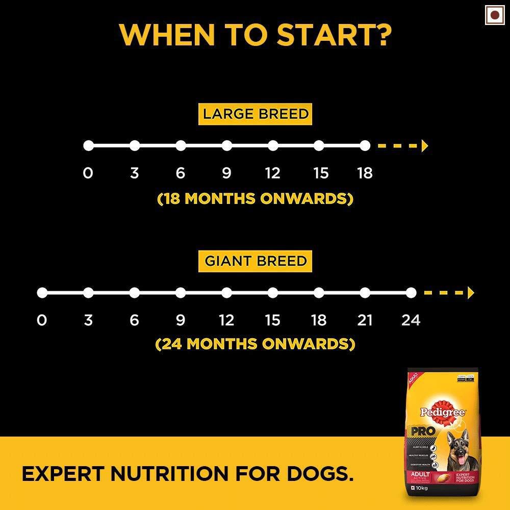 Pedigree Pro Adult Active