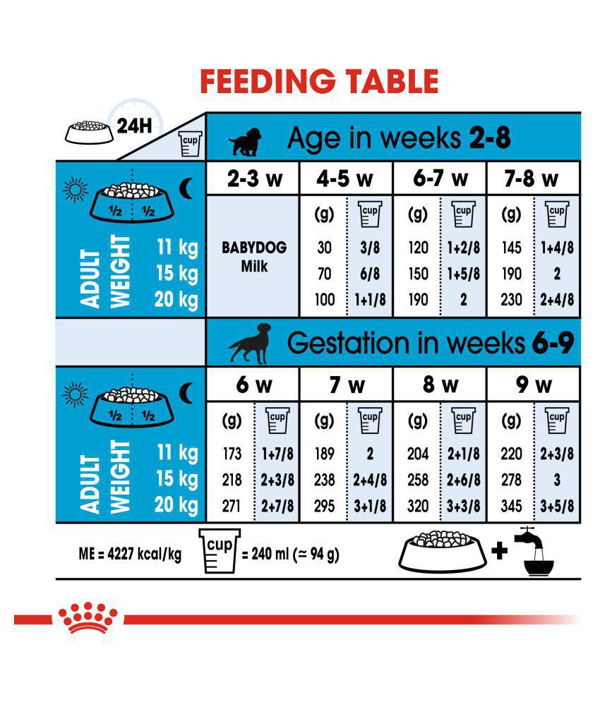 Royal Canin Medium Starter