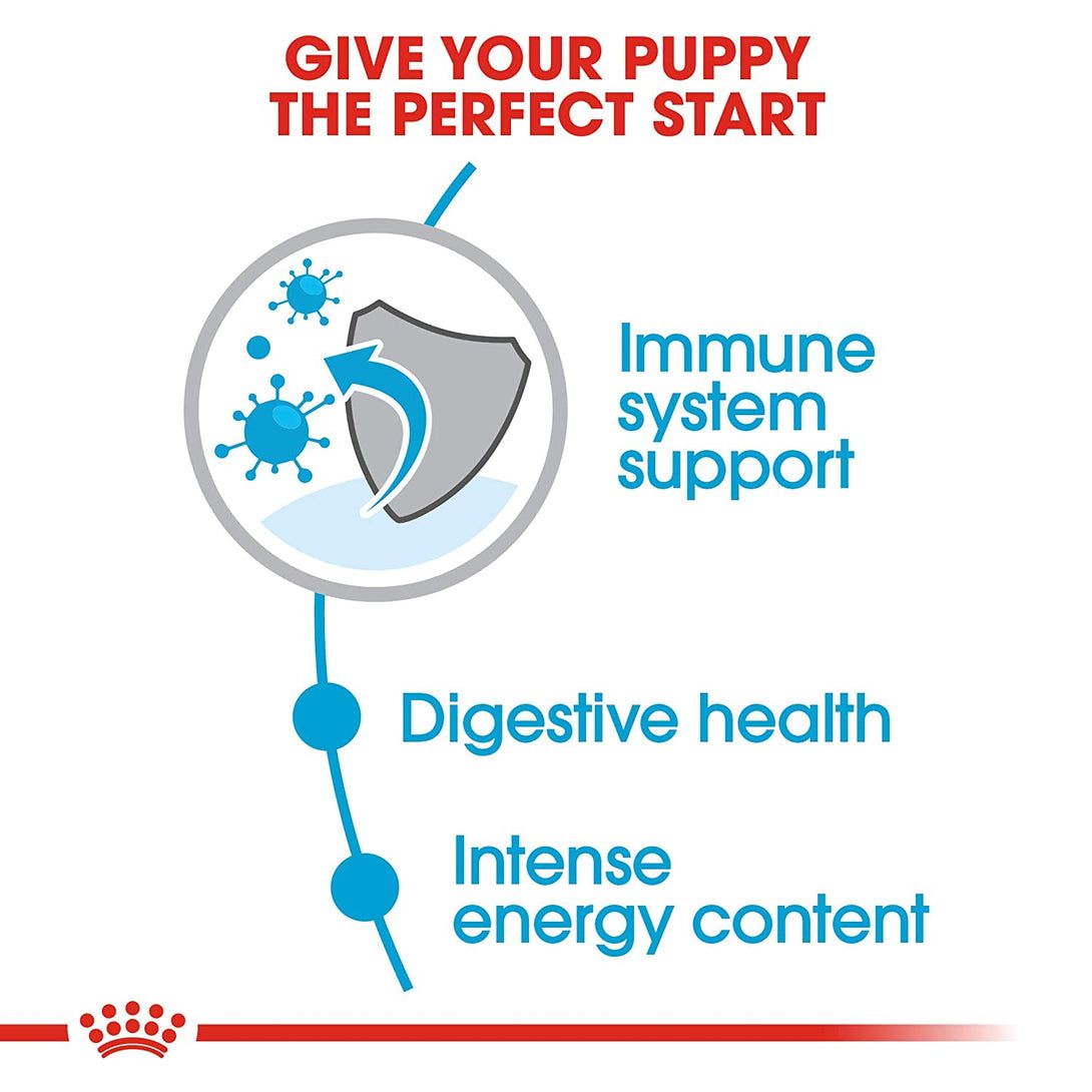Royal Canin Mini Puppy