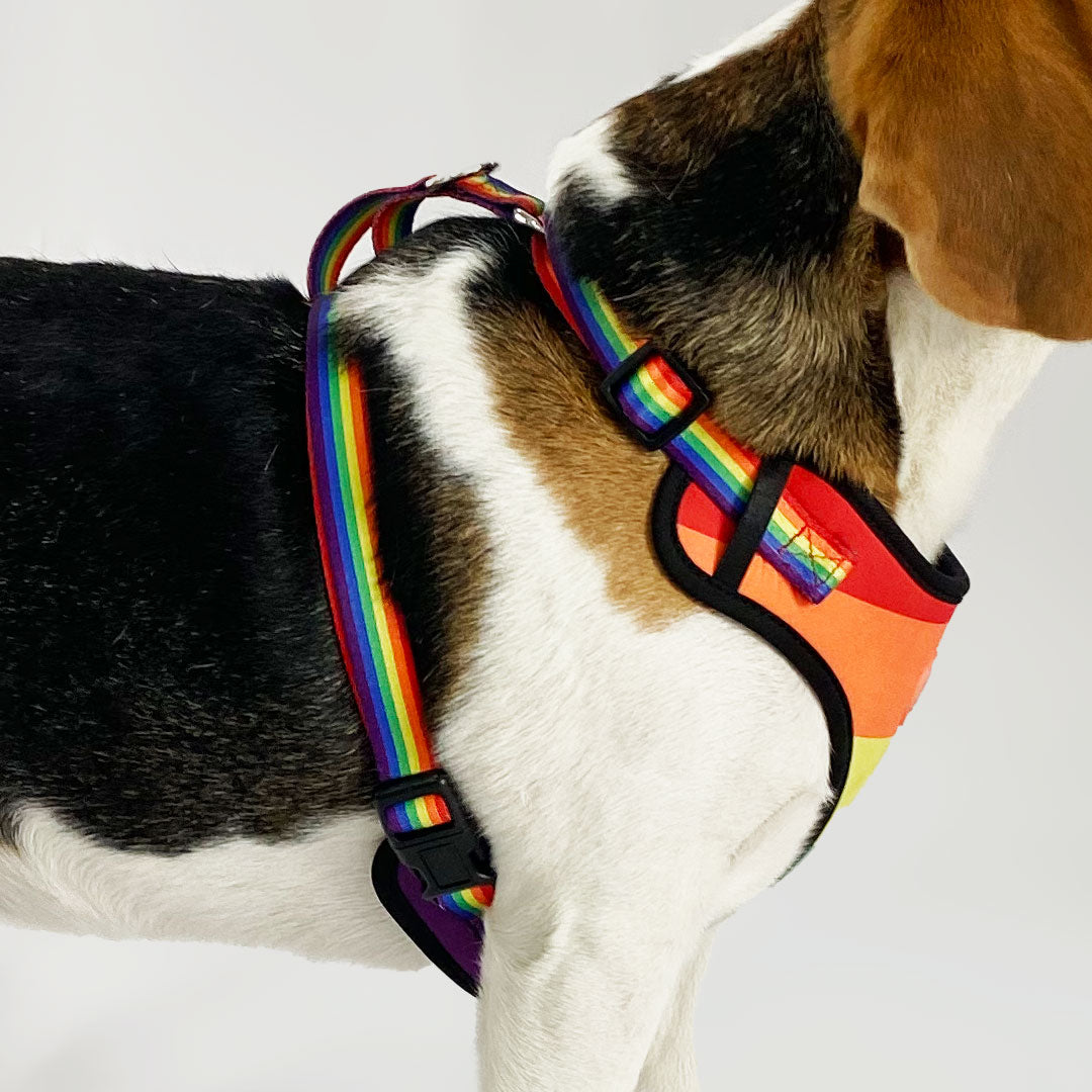 Pride Print Mesh Harness