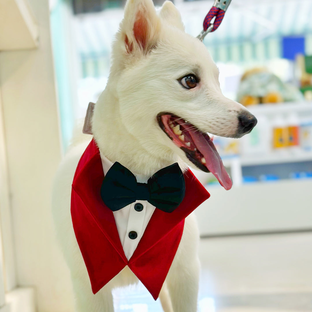 Red Velvet Tuxedo Vest Bandana