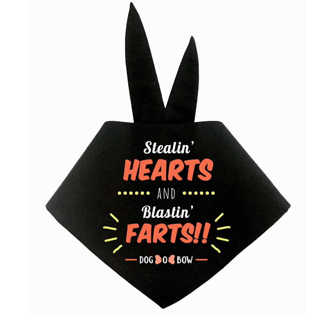 Stealin' Farts neckerchief