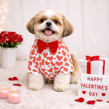 Valentine's Day Collection