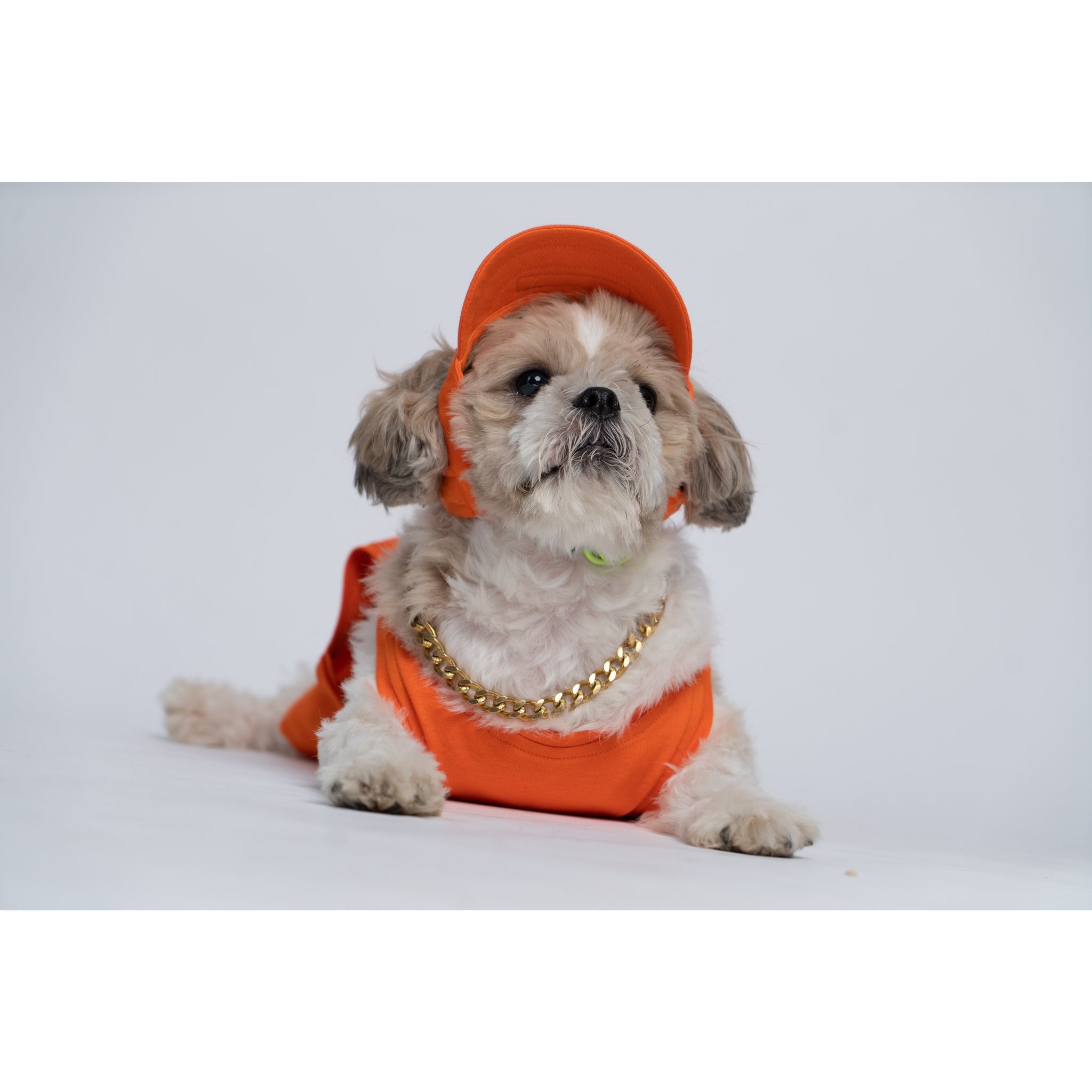 Ganji