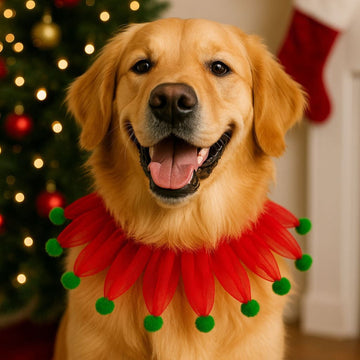 Christmas Collection