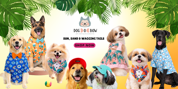 Summer Collection'2026