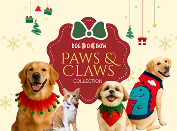 Paws & Claws Collection 2025