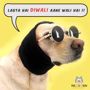 Diwali Essentials