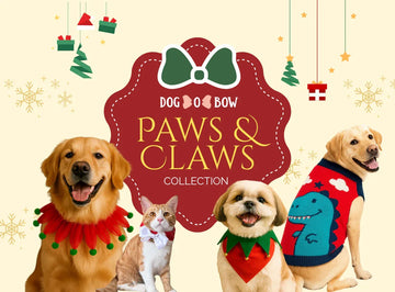 Paws & Claws Collection 2025
