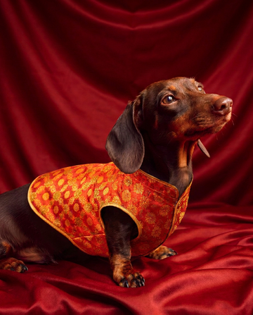 Bestselling traditional wear