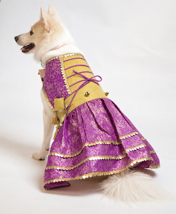 Param Sundari Dress