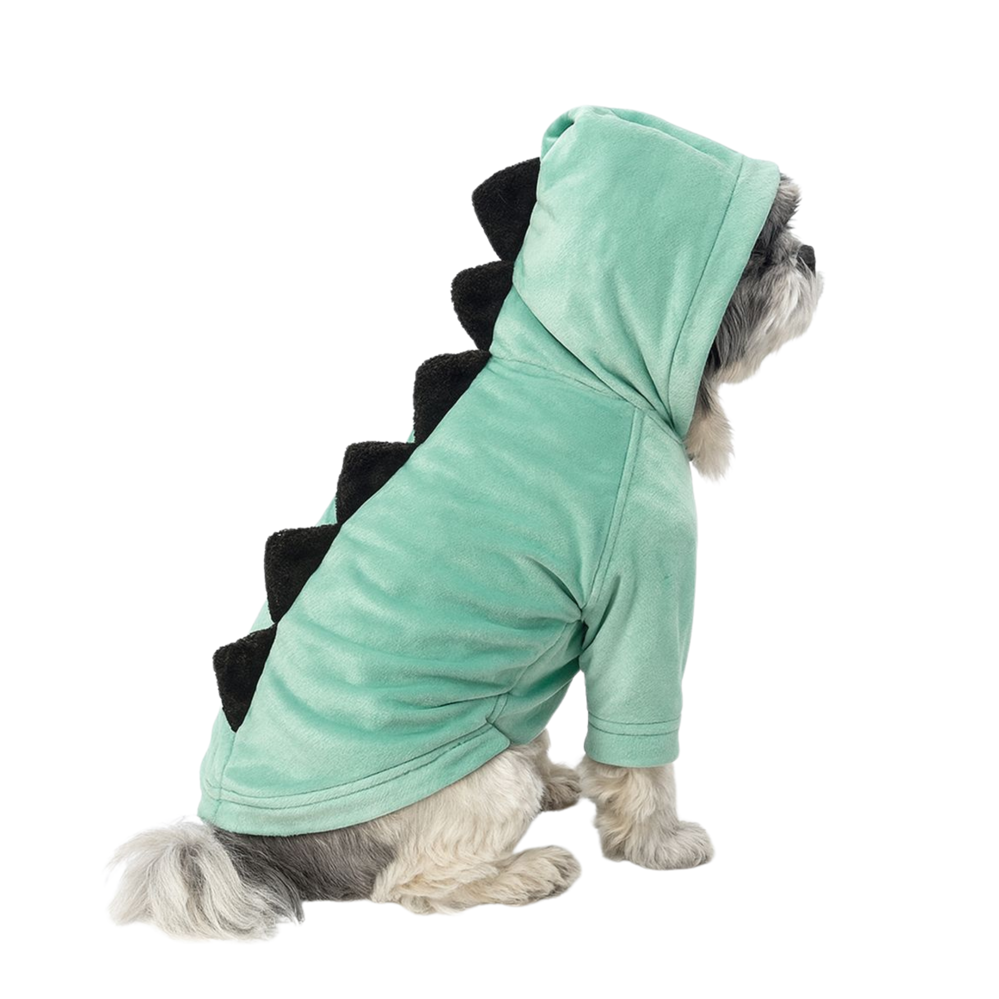 The Good Dino Hoodie