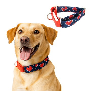 Hearty print Martingale Collar LARGE