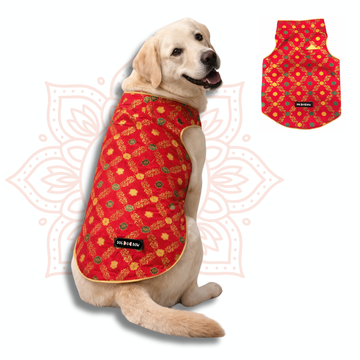 Red Banarasi Sherwani