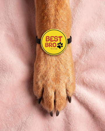 Best Bro Pet Rakhi