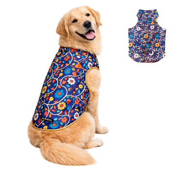 Royal Blue Floral Sherwani