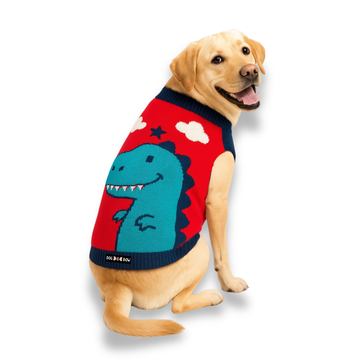 Dino Sweater