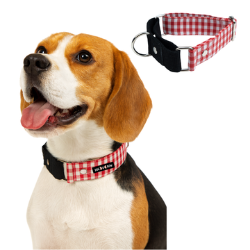 Red Gingham Martingale Collar