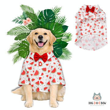 Watermelon Print Shirt