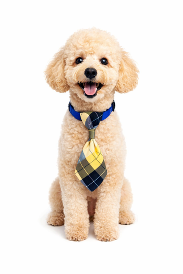 Divider Check Neck Tie Collar