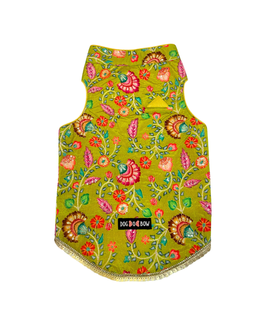 Rangila Romeo Sherwani