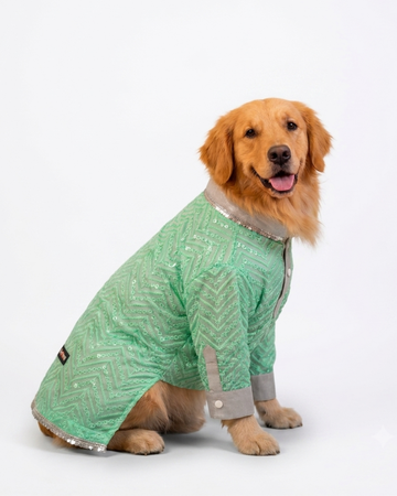 Desi Disco Kurta