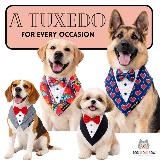 Grey Check Tuxedo Vest Bandanas