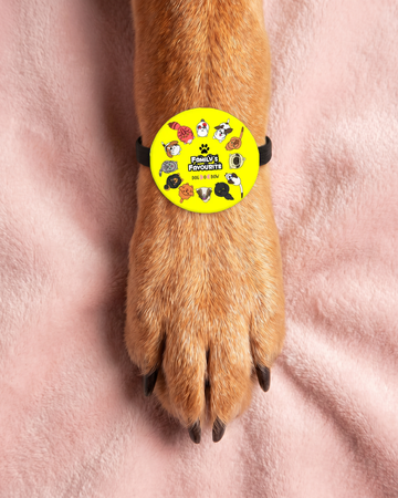Family's Favourite Pet Rakhi