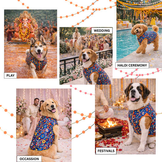 Royal Blue Floral Sherwani