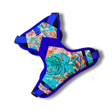 Tropicana  Double Padded Harness