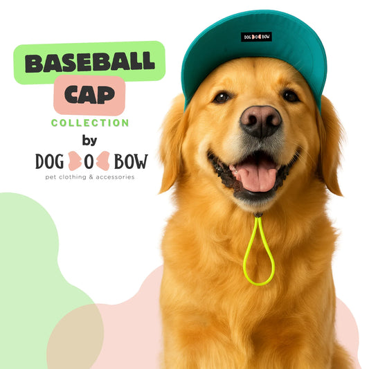 Teal Baseball Cap